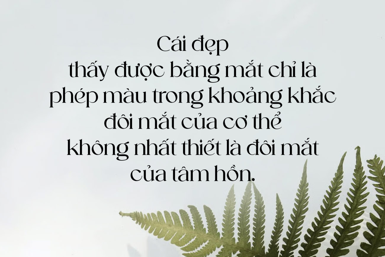 TH Selvia Genatu - Tuyệt phẩm Font chữ Serif Việt h&oacute;a cho thiết kế sang trọng